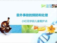 意外事故的預(yù)防和處理資料