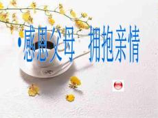 感恩節課件小學五年級資料