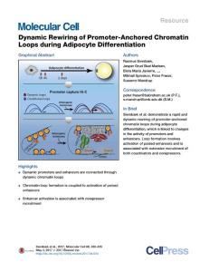Molecular Cell-2017-Dynamic Rewiring of Promoter-Anchored Chromatin Loops during Adipocyte Differentiation