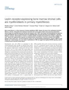 ncb3530-Leptin-receptor-expressing bone marrow stromal cells are myofibroblasts in primary myelofibrosis