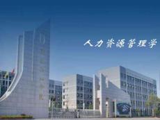 人力资源管理学(第八讲)