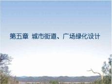 南林課件 第五章 城市街道、廣場綠化設(shè)計(jì)