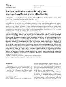 cr201766a-A unique deubiquitinase that deconjugates phosphoribosyl-linked protein ubiquitination