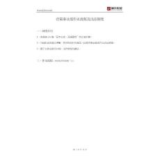 00咨策事業(yè)部作業(yè)流程及出品制度(2008年12月)