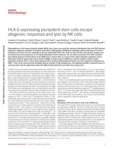 nbt.3860-HLA-E-expressing pluripotent stem cells escape allogeneic responses and lysis by NK cells
