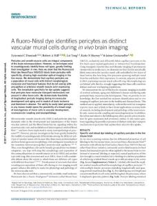 nn.4564-A fluoro-Nissl dye identifies pericytes as distinct vascular mural cells during in vivo brain imaging