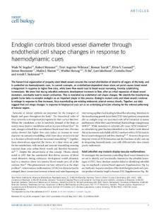 ncb3528-Actin cortex architecture regulates cell surface tension