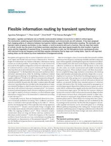 nn.4569-Flexible information routing by transient synchrony