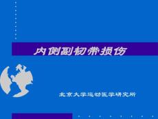 内侧副韧带损伤