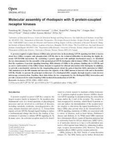 cr201772a-Molecular assembly of rhodopsin with G protein-coupled receptor kinases