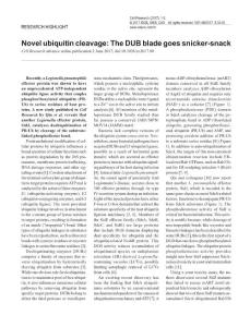 cr201780a-Novel ubiquitin cleavage- The DUB blade goes snicker-snack