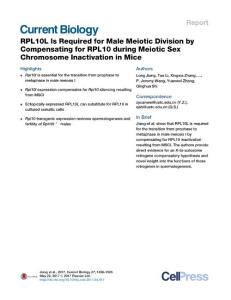 Current-Biology_2017_RPL10L-Is-Required-for-Male-Meiotic-Division-by-Compensating-for-RPL10-during-Meiotic-Sex-Chromosome-Inactivation-in-Mice