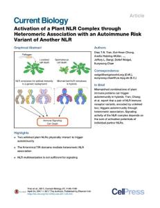 Current-Biology_2017_Activation-of-a-Plant-NLR-Complex-through-Heteromeric-Association-with-an-Autoimmune-Risk-Variant-of-Another-NLR