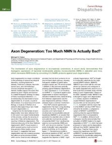 Current-Biology_2017_Axon-Degeneration-Too-Much-NMN-Is-Actually-Bad-