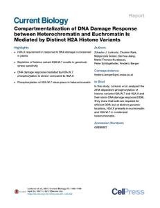 Current Biology_2017-Compartmentalization of DNA Damage Response between Heterochromatin and Euchromatin Is Mediated by Distinct H2A Histone Variants