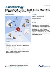 Current Biology_2017-Different Functionality of Cdc20 Binding Sites within the Mitotic Checkpoint Complex