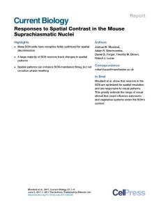 Current Biology_2017-Responses to Spatial Contrast in the Mouse Suprachiasmatic Nuclei