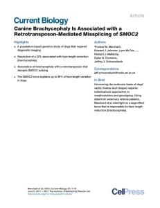 Current-Biology_2017_Canine-Brachycephaly-Is-Associated-with-a-Retrotransposon-Mediated-Missplicing-of-SMOC2