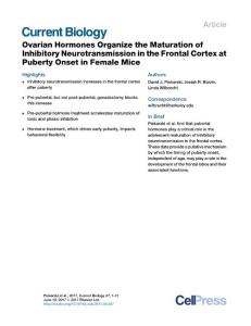 Current-Biology_2017_Ovarian-Hormones-Organize-the-Maturation-of-Inhibitory-Neurotransmission-in-the-Frontal-Cortex-at-Puberty-Onset-in-Female-Mice