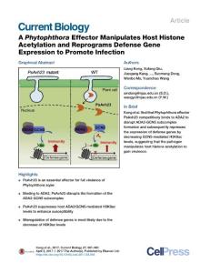 Current-Biology_2017_A-Phytophthora-Effector-Manipulates-Host-Histone-Acetylation-and-Reprograms-Defense-Gene-Expression-to-Promote-Infection