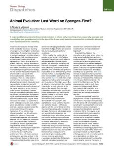 Current-Biology_2017_Animal-Evolution-Last-Word-on-Sponges-First-