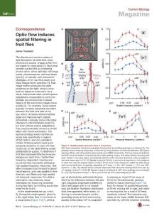 Current-Biology_2017_Optic-flow-induces-spatial-filtering-in-fruit-flies