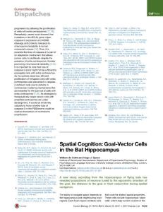 Current-Biology_2017_Spatial-Cognition-Goal-Vector-Cells-in-the-Bat-Hippocampus