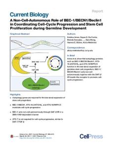 Current-Biology_2017_A-Non-Cell-Autonomous-Role-of-BEC-1-BECN1-Beclin1-in-Coordinating-Cell-Cycle-Progression-and-Stem-Cell-Proliferation-during-Germl