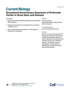 Current-Biology_2017_Exceptional-Evolutionary-Expansion-of-Prefrontal-Cortex-in-Great-Apes-and-Humans