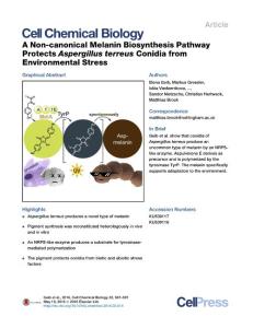 Cell-Chemical-Biology_2016_A-Non-canonical-Melanin-Biosynthesis-Pathway-Protects-Aspergillus-terreus-Conidia-from-Environmental-Stress