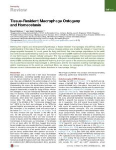 Immunity_2016_Tissue-Resident-Macrophage-Ontogeny-and-Homeostasis