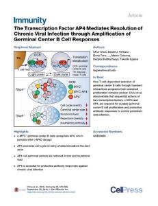 Immunity_2016_The-Transcription-Factor-AP4-Mediates-Resolution-of-Chronic-Viral-Infection-through-Amplification-of-Germinal-Center-B-Cell-Responses