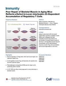 Immunity_2016_Poor-Repair-of-Skeletal-Muscle-in-Aging-Mice-Reflects-a-Defect-in-Local-Interleukin-33-Dependent-Accumulation-of-Regulatory-T-Cells