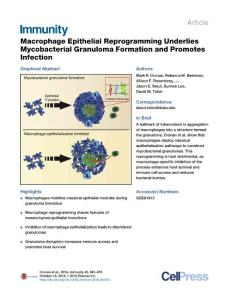 Immunity_2016_Macrophage-Epithelial-Reprogramming-Underlies-Mycobacterial-Granuloma-Formation-and-Promotes-Infection