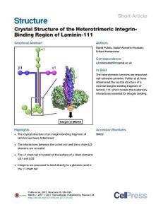 Structure_2017_Crystal-Structure-of-the-Heterotrimeric-Integrin-Binding-Region-of-Laminin-111