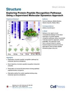 Structure_2017_Exploring-Protein-Peptide-Recognition-Pathways-Using-a-Supervised-Molecular-Dynamics-Approach