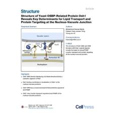 Structure_2017_Structure-of-Yeast-OSBP-Related-Protein-Osh1-Reveals-Key-Determinants-for-Lipid-Transport-and-Protein-Targeting-at-the-Nucleus-Vacuole-