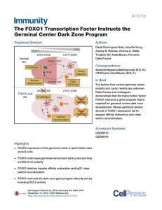 Immunity_2015_The-FOXO1-Transcription-Factor-Instructs-the-Germinal-Center-Dark-Zone-Program