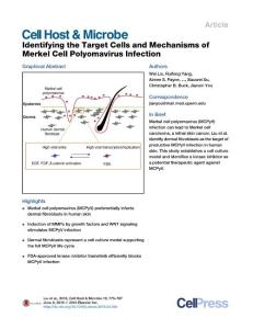 Cell-Host-Microbe_2016_Identifying-the-Target-Cells-and-Mechanisms-of-Merkel-Cell-Polyomavirus-Infection