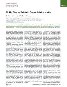 Cell-Host-Microbe_2016_Pickle-Flavors-Relish-in-Drosophila-Immunity