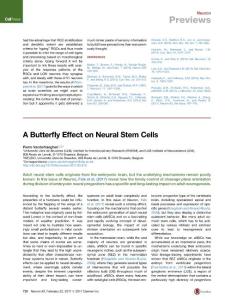 Neuron_2017_A-Butterfly-Effect-on-Neural-Stem-Cells
