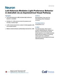 Neuron_2017_Left-Habenula-Mediates-Light-Preference-Behavior-in-Zebrafish-via-an-Asymmetrical-Visual-Pathway