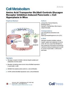 Cell-Metabolism_2017_Amino-Acid-Transporter-Slc38a5-Controls-Glucagon-Receptor-Inhibition-Induced-Pancreatic-Cell-Hyperplasia-in-Mice