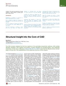 Structure_2017_Structural-Insight-into-the-Core-of-CAD