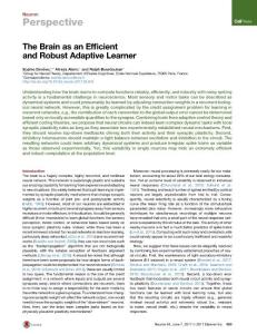 Neuron_2017_The-Brain-as-an-Efficient-and-Robust-Adaptive-Learner