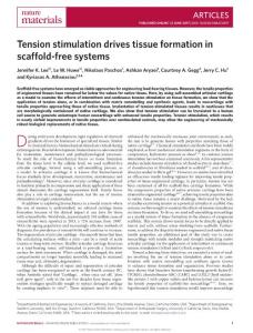 nmat4917-Tension stimulation drives tissue formation in scaffold-free systems