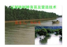 【精品文档】红树林树种育苗及营造技术