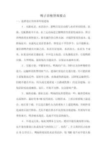 鴨子養(yǎng)殖管理要點(diǎn)