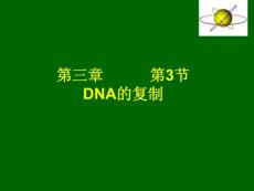 DNA的复制