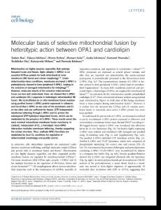 ncb3560-Molecular basis of selective mitochondrial fusion by heterotypic action between OPA1 and cardiolipin